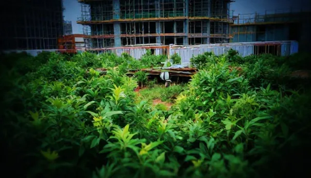网站设计东莞的关键因素如何影响整体效果