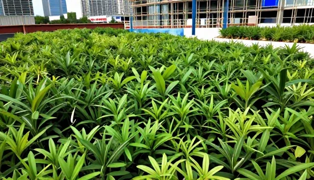 上海网页设计在电商运营中的常见问题分析