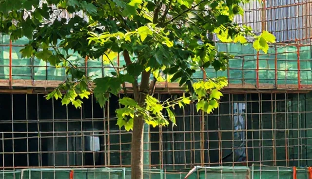 广州设计网站选型关注点:网络优化与用户体验